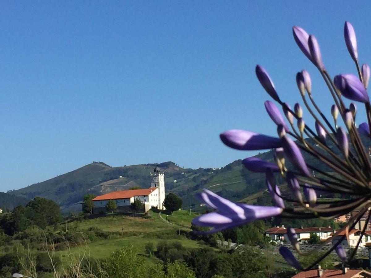 Abaraxka Hostel Disfruta La Via Verde Del Urola Hasta La Playa - Naturaleza Montanas Y Riqueza Cultural Аскойтиа Экстерьер фото